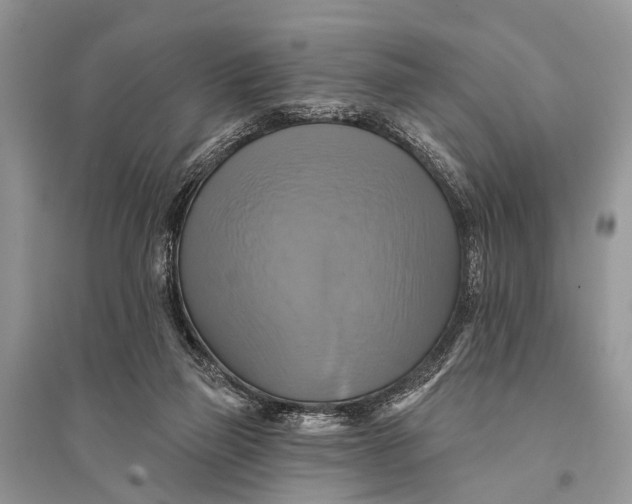 X0000094900165200712201142