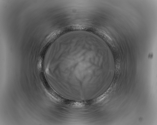 X0000094900166200712201142