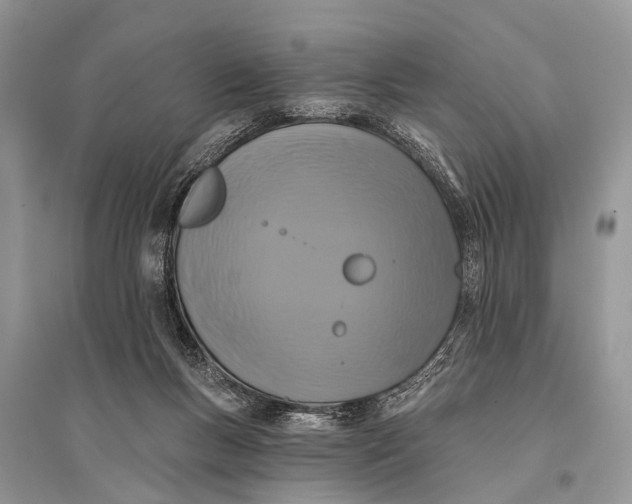 X0000094900167200712201142