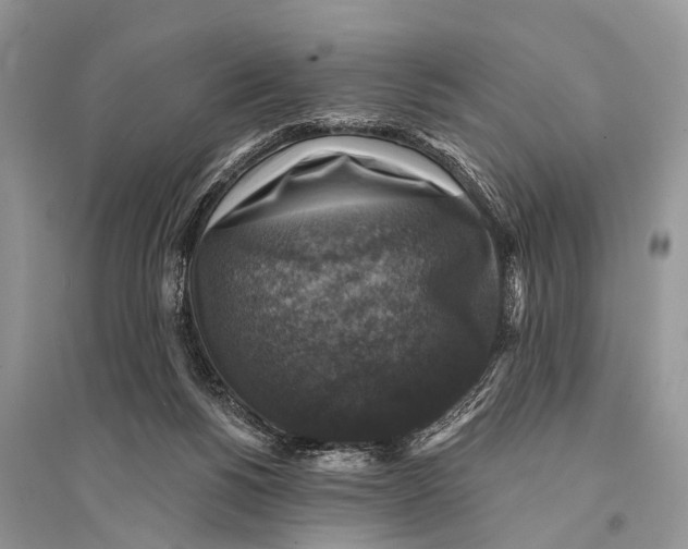 X0000094900168200712201142