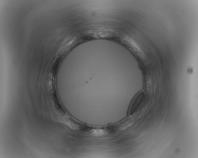 X0000094900169200712201142