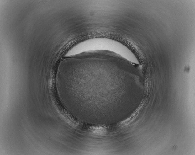 X0000094900170200712201142