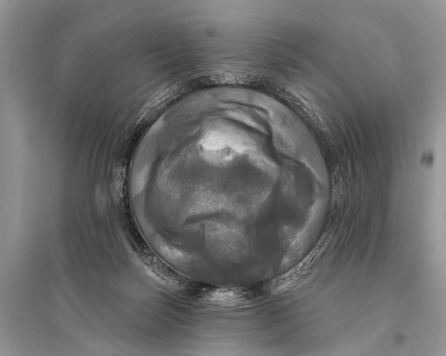 X0000094900171200712201142