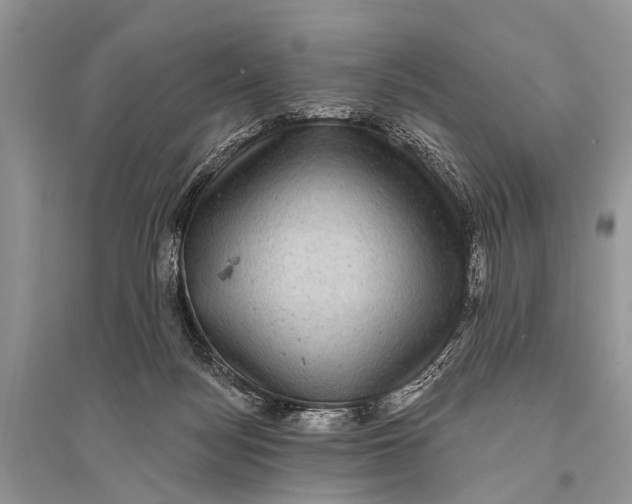 X0000094900172200712201142