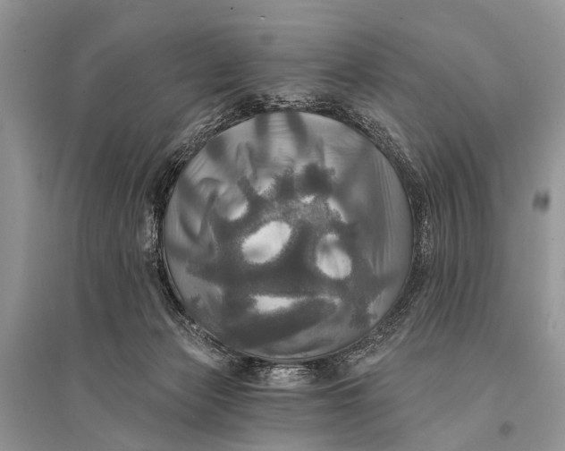 X0000094900173200712201142