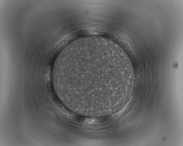 X0000094900174200712201142