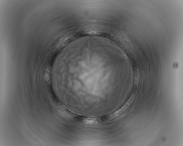 X0000094900175200712201142