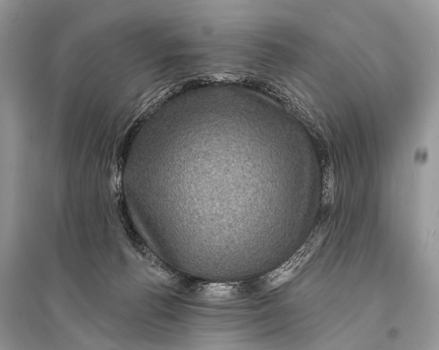 X0000094900176200712201142