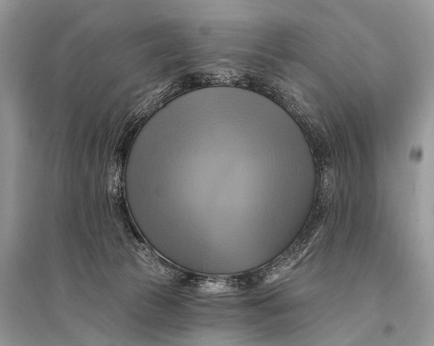 X0000094900177200712201142