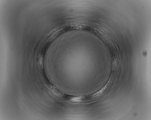 X0000094900178200712201142