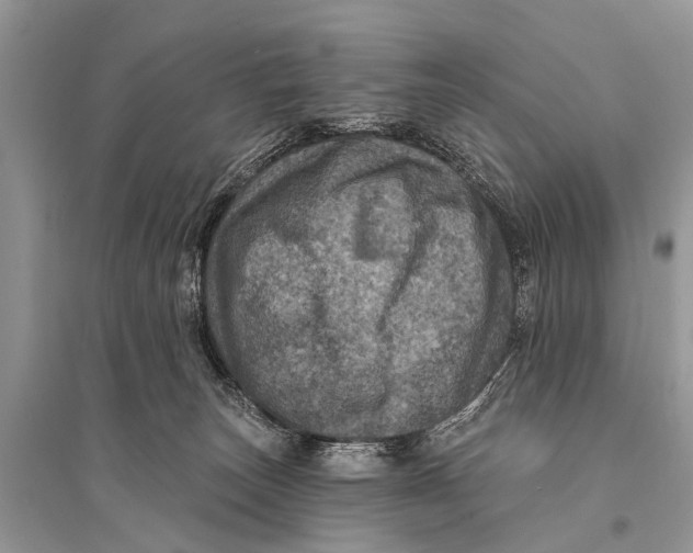 X0000094900179200712201142