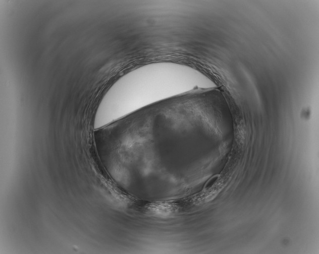 X0000094900181200712201142