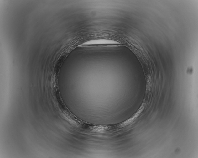 X0000094900182200712201142