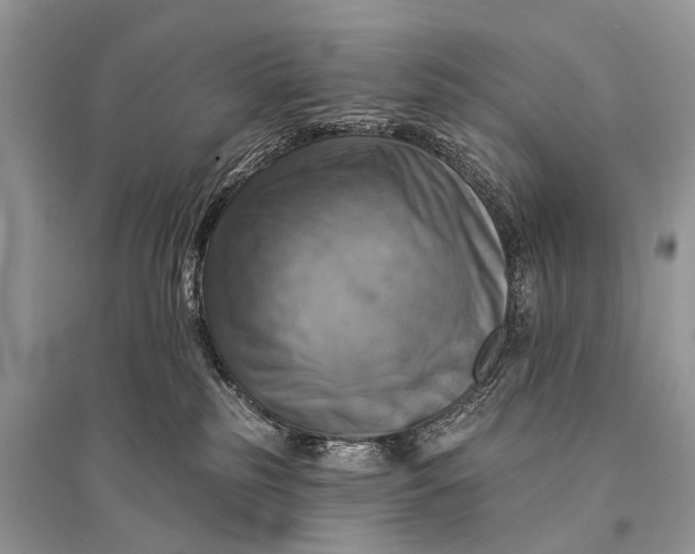 X0000094900185200712201142