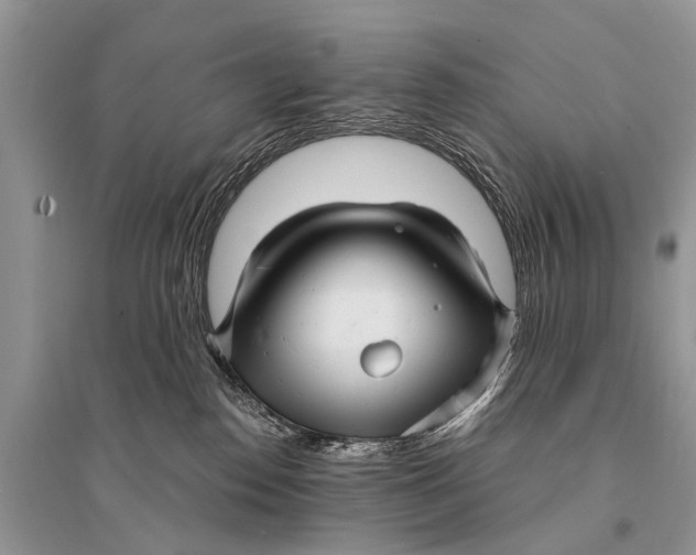 X0000094900186200712201142