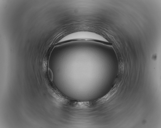 X0000094900188200712201143