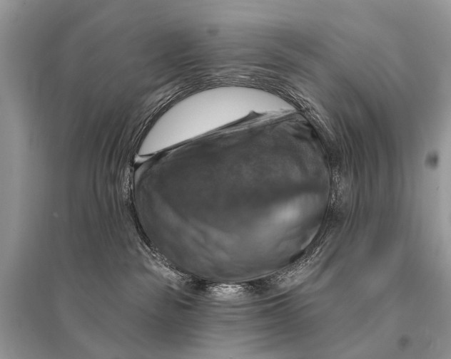 X0000094900189200712201143