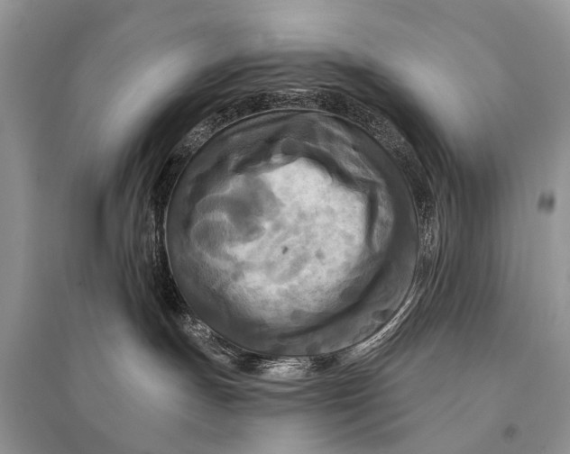 X0000094900191200712201143