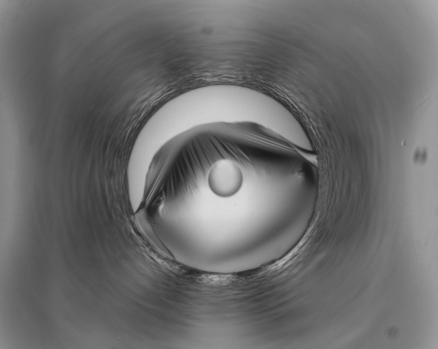 X0000094900192200712201143