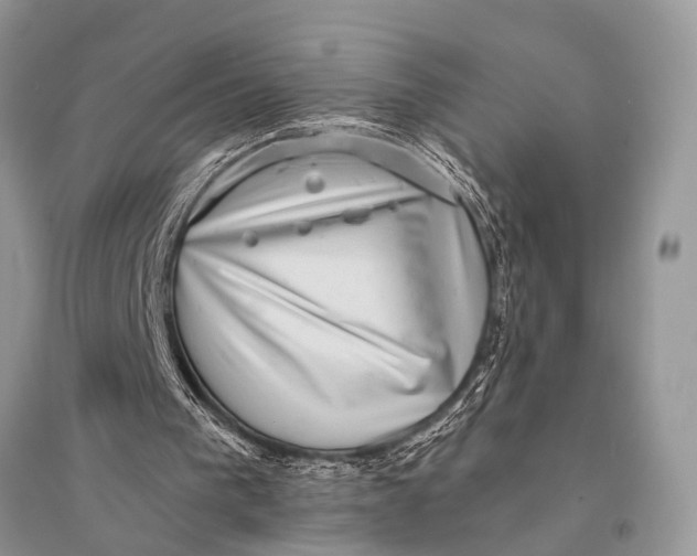 X0000094900193200712201142