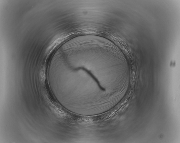 X0000094900194200712201142