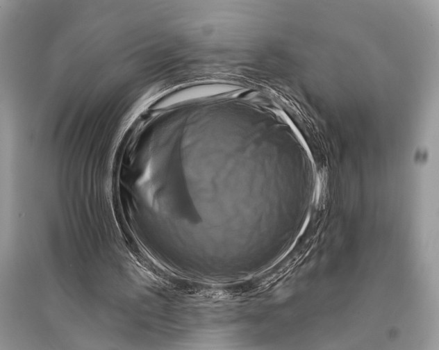 X0000094900195200712201142