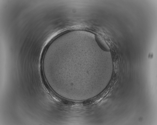 X0000094900196200712201142