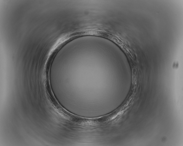 X0000094900198200712201142