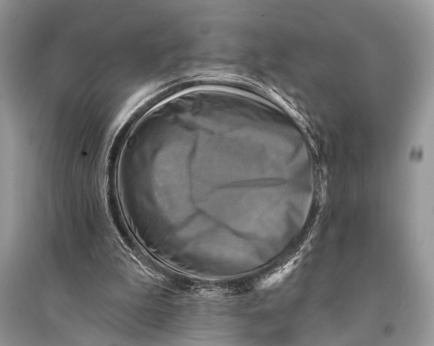 X0000094900199200712201142