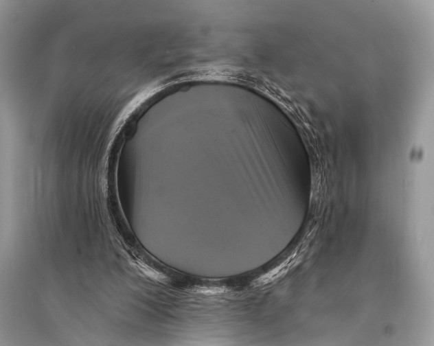 X0000094900200200712201142