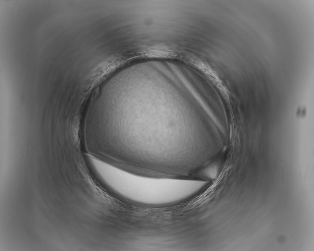 X0000094900201200712201142