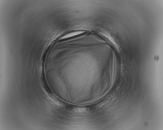 X0000094900202200712201142