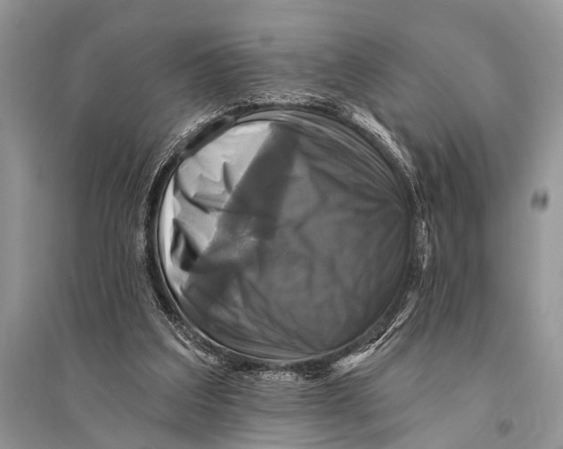 X0000094900203200712201142