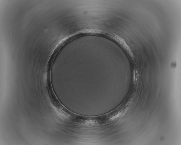 X0000094900204200712201142