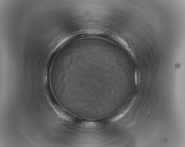 X0000094900205200712201142