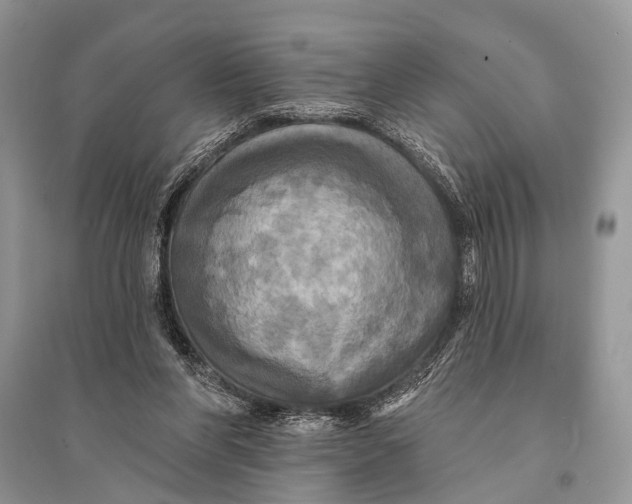 X0000094900206200712201142