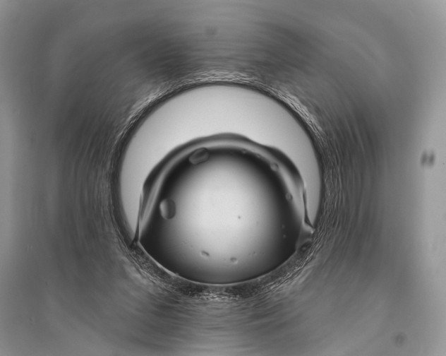 X0000094900207200712201142