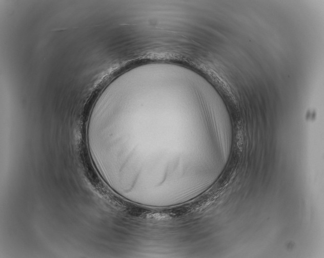 X0000094900208200712201142