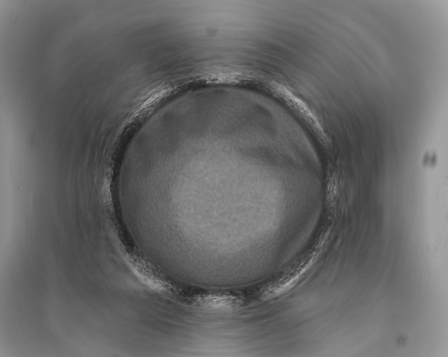 X0000094900209200712201142