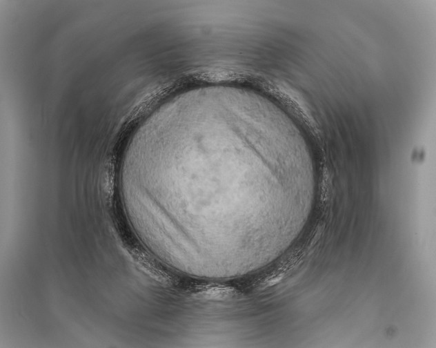 X0000094900210200712201142