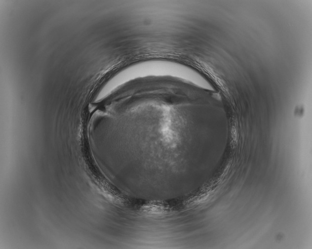 X0000094900211200712201142