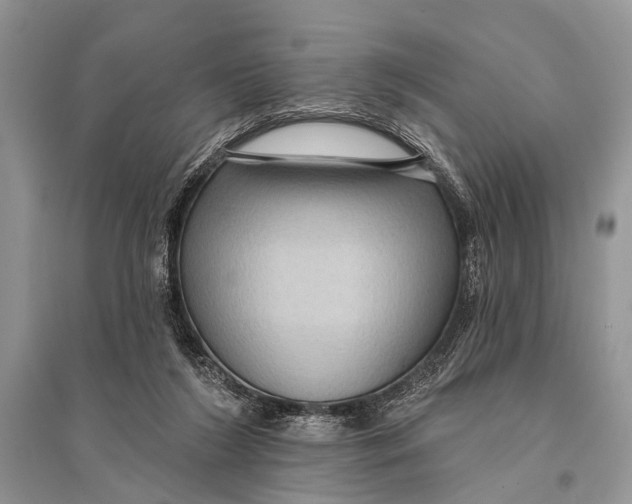 X0000094900212200712201142