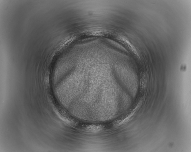 X0000094900213200712201142