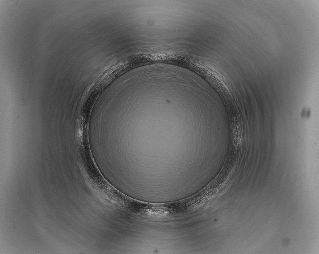 X0000094900214200712201142