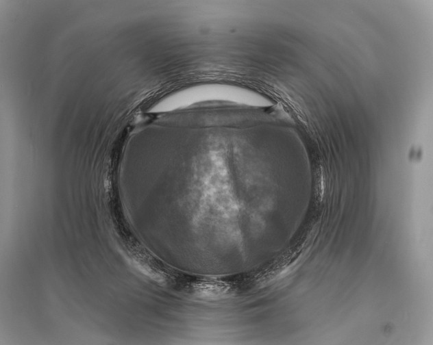 X0000094900215200712201142