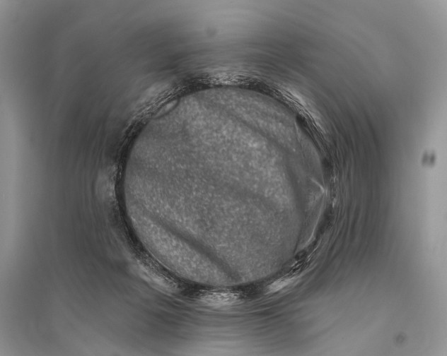 X0000094900217200712201142