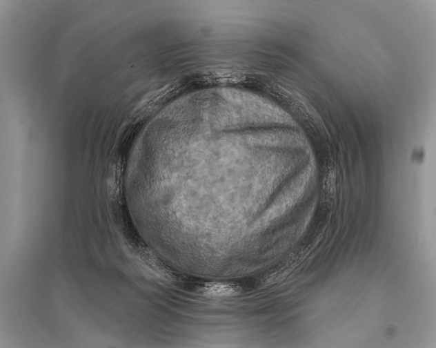 X0000094900218200712201142