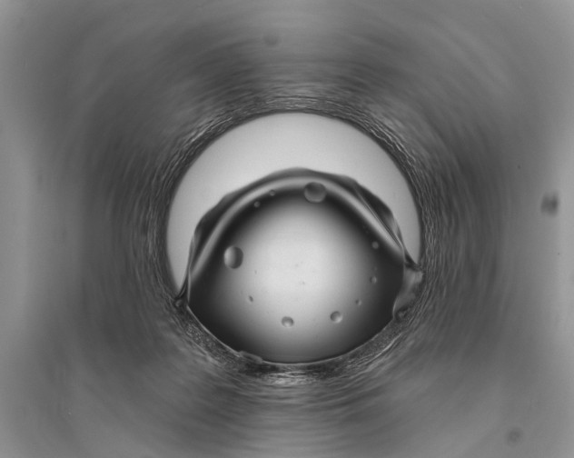 X0000094900219200712201142