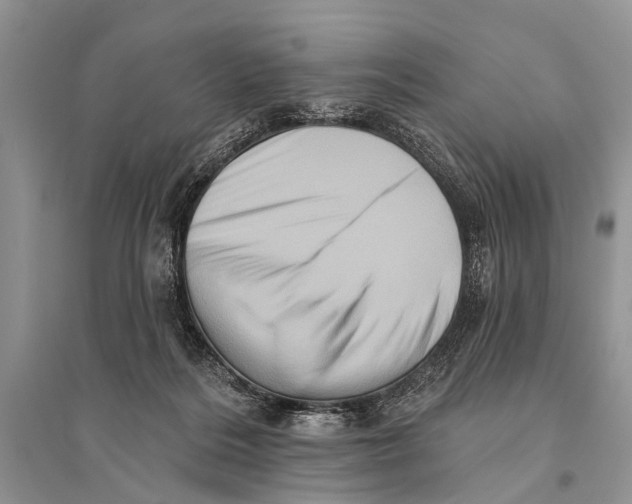 X0000094900220200712201142