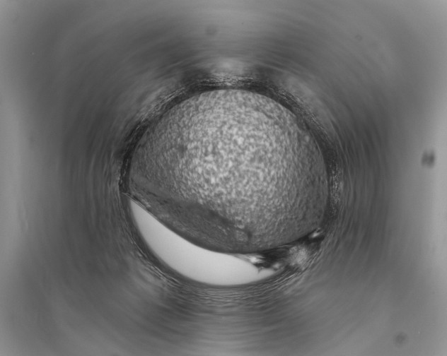 X0000094900221200712201142